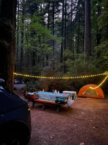 RollrUp™ 10m LED Retractable light